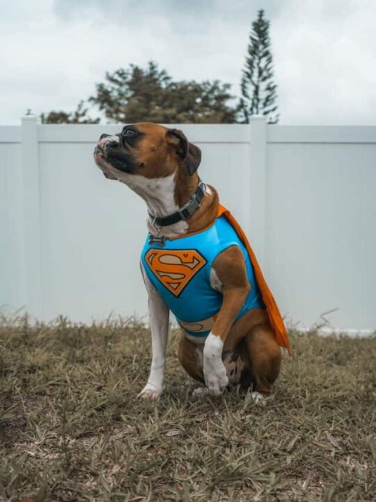 kerwin-elias-7-ToFEHzMNw-unsplash (1)