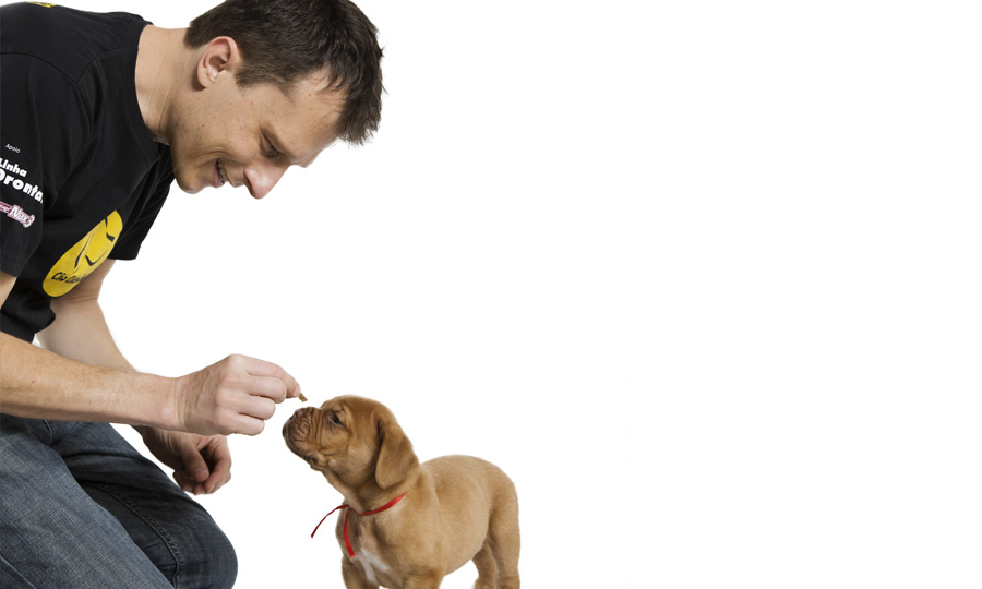 Imagem de um homem dando um petisco para um cachorro