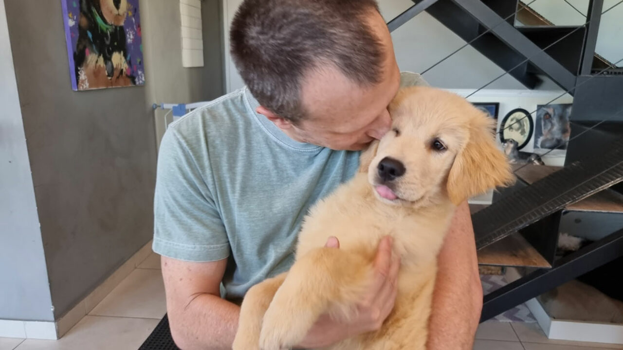 QUEBRA CABEÇA CACHORRO PRIMEIRA PARTE  Quebra cabeça, Cachorro,  Necessidades especiais