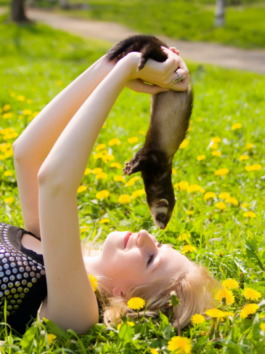 Criança segurando um furão.