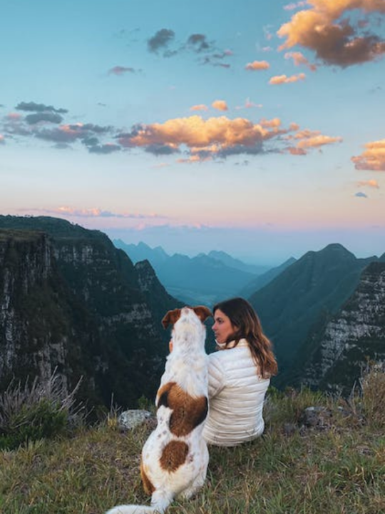 Tutora ao lado do cachorro observando a vista da montanha.