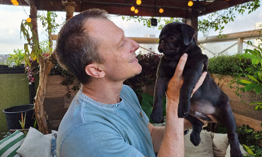 como cuidar de pet no verao interna