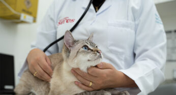 Medicina Veterinária Preventiva