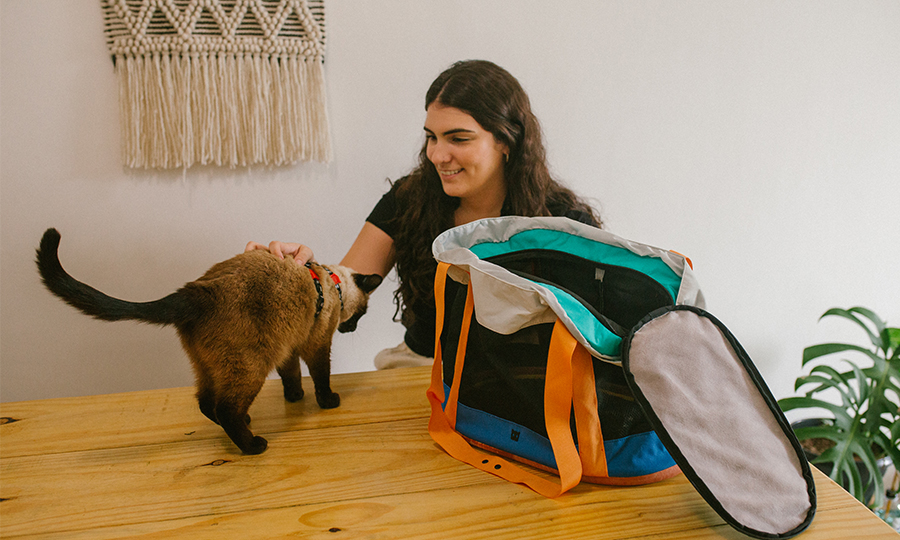 Tutora e gato perto da caixa de transporte.