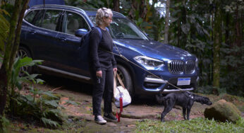 Cachorro com medo de andar de carro
