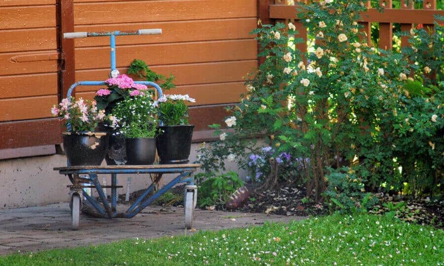 Jardim com diferentes plantas.