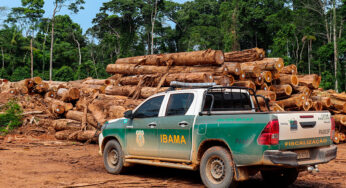 O que é o Ibama