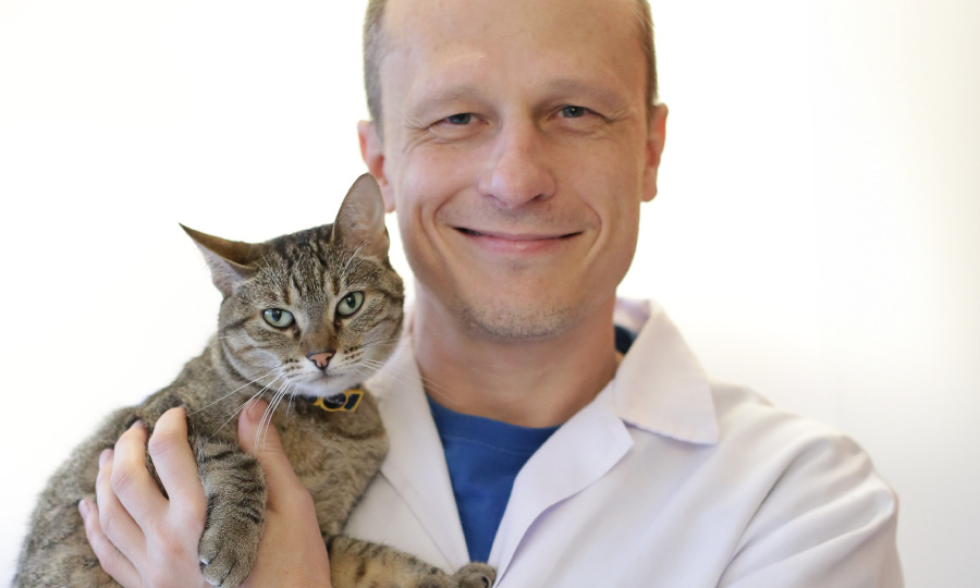 Dr. Pet segurando um gato.