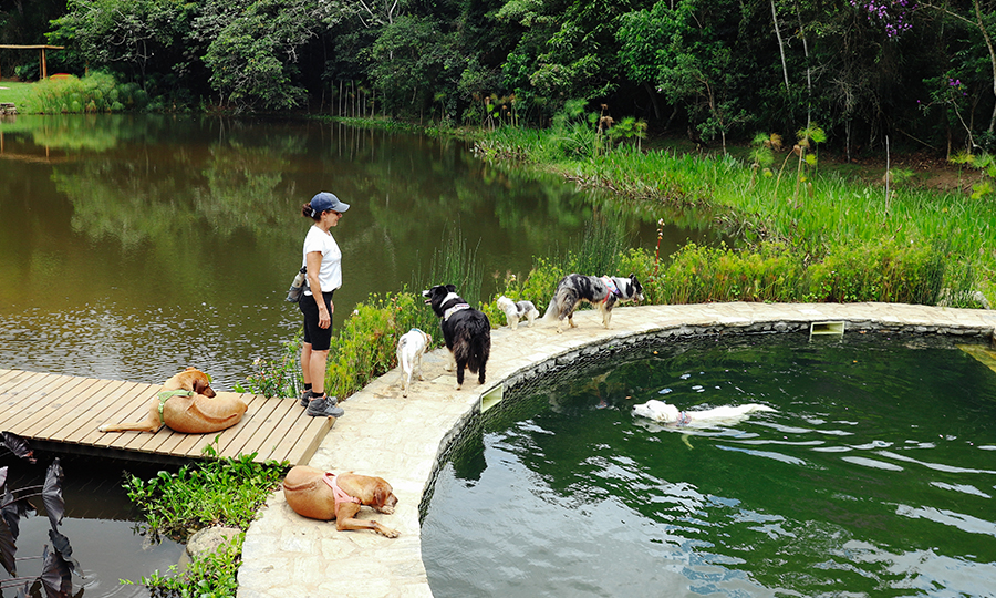 Tutora com seus cachorros numa estrutura de madeira sobre um lago.