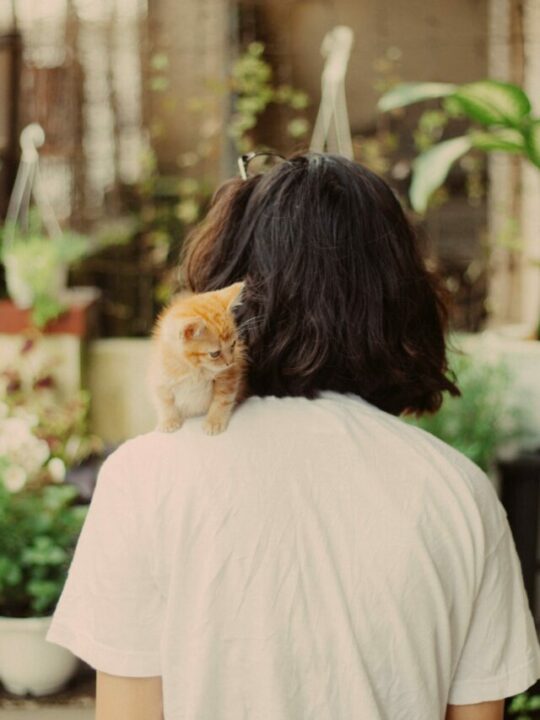 pexels-timegrocery-1695900