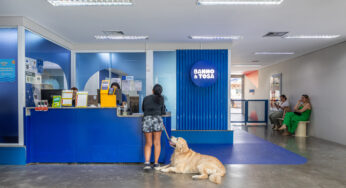 Banho e tosa para cachorro