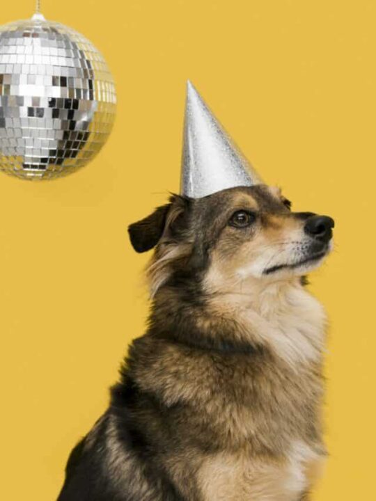 virada-tranquila-capa