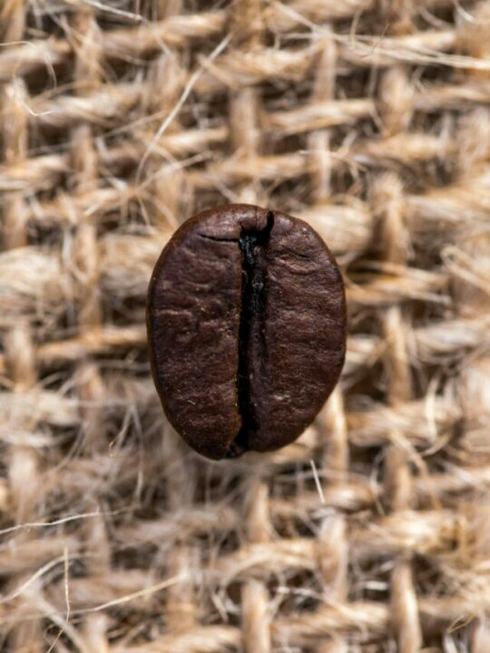 Imagem de grãos de café