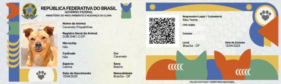 carteirinha rg animal