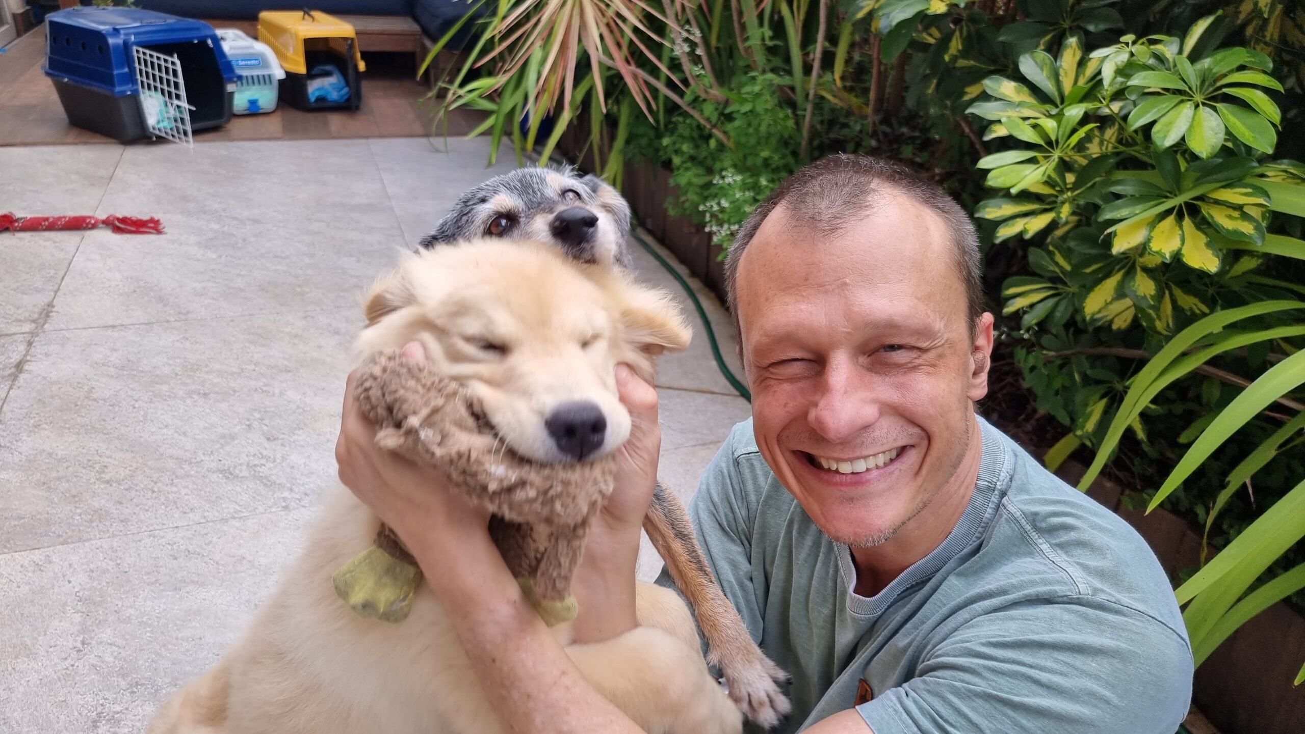 Dr. Pet com dois cachorros.