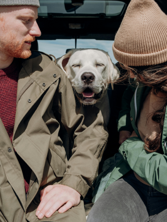 Homem e mulher sentados na frente e cachorro labrador atrás.