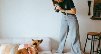 Os 100 nomes para cachorro mais bonitos, segundo a Inteligência Artificial
