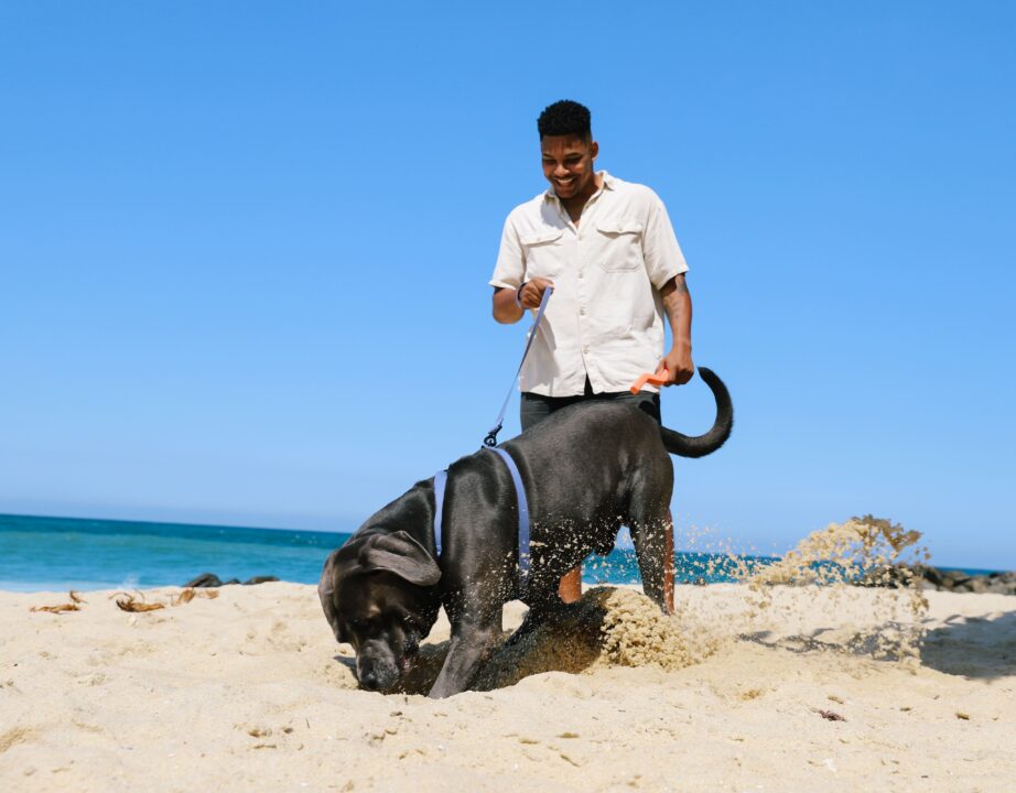 Imagem de responsável com cachorro