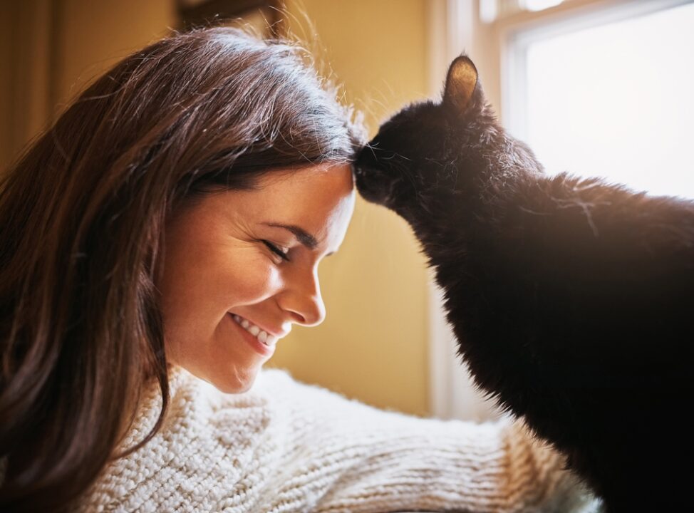 Gato cheirando a testa da tutora que está sorrindo.