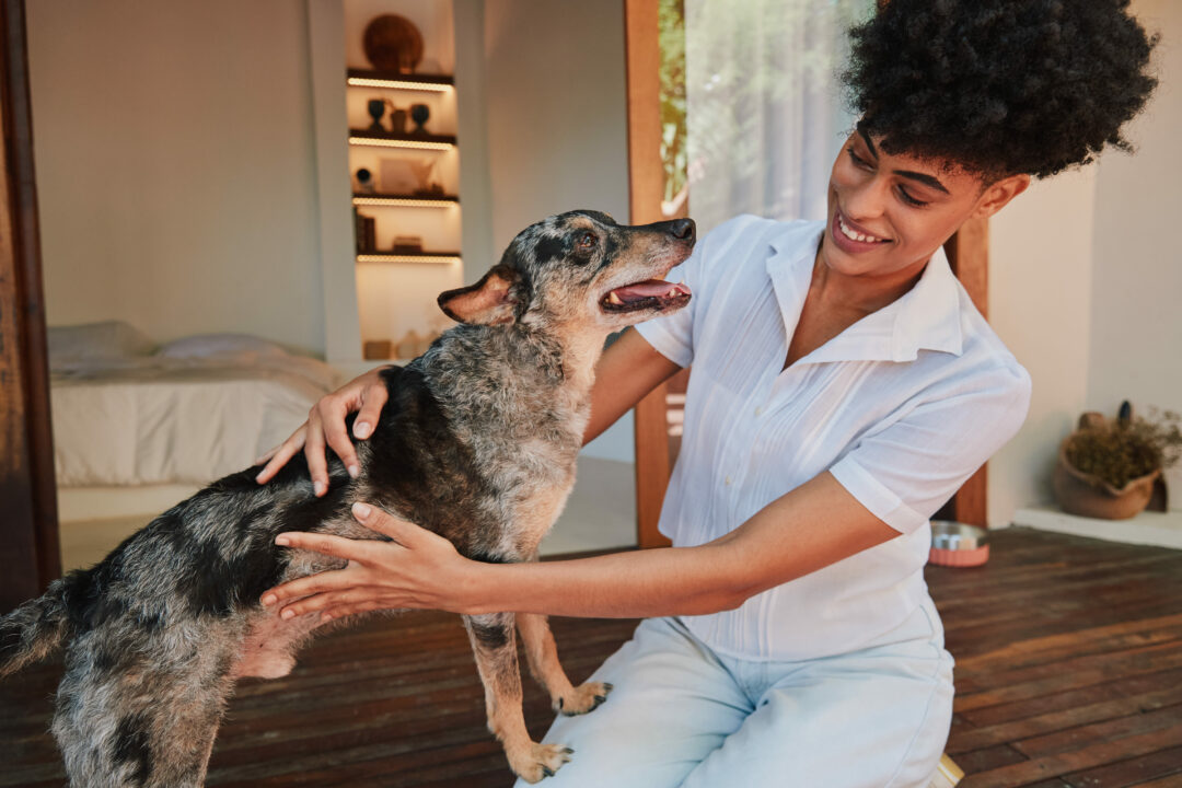 Mulher segurando cachorro SRD que está apoiado com as patas em sua perna.