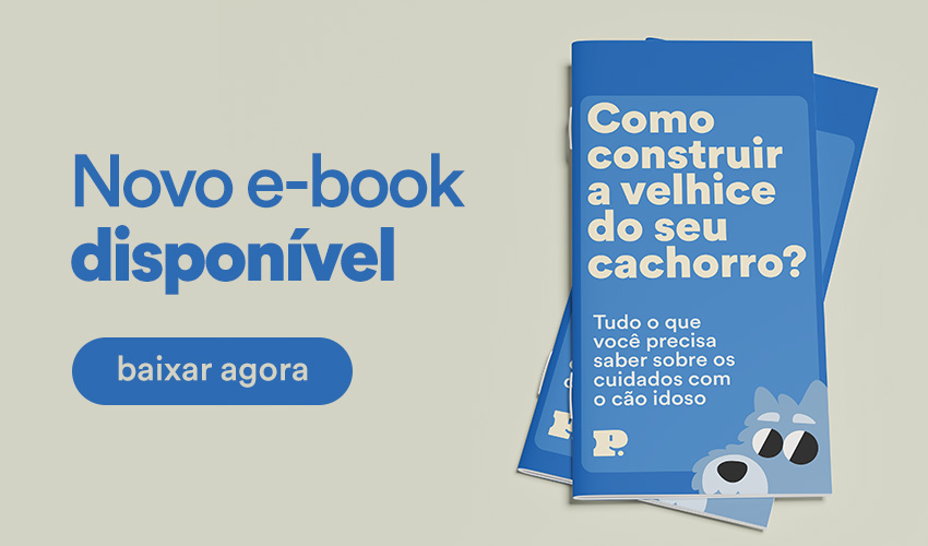 Capa ebook como construir a velhice do seu cachorro?