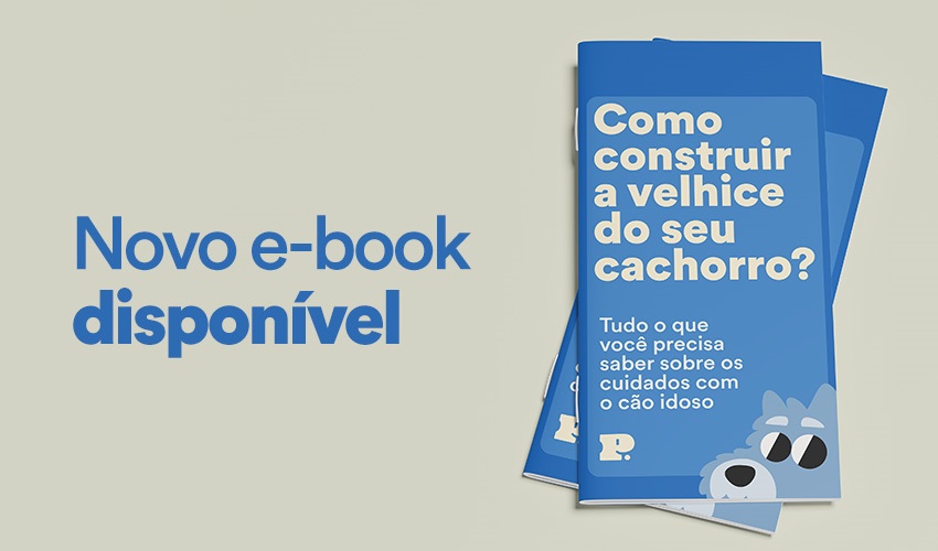Capa ebook como construir a velhice do seu cachorro?