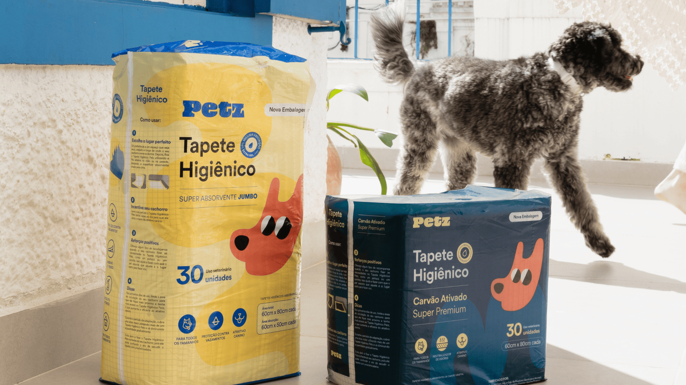 Guia sobre tapete higiênico para cachorro: tudo o que você precisa saber 2 Dois pacotes de tapete higiênico da Petz e cachorro ao fundo.