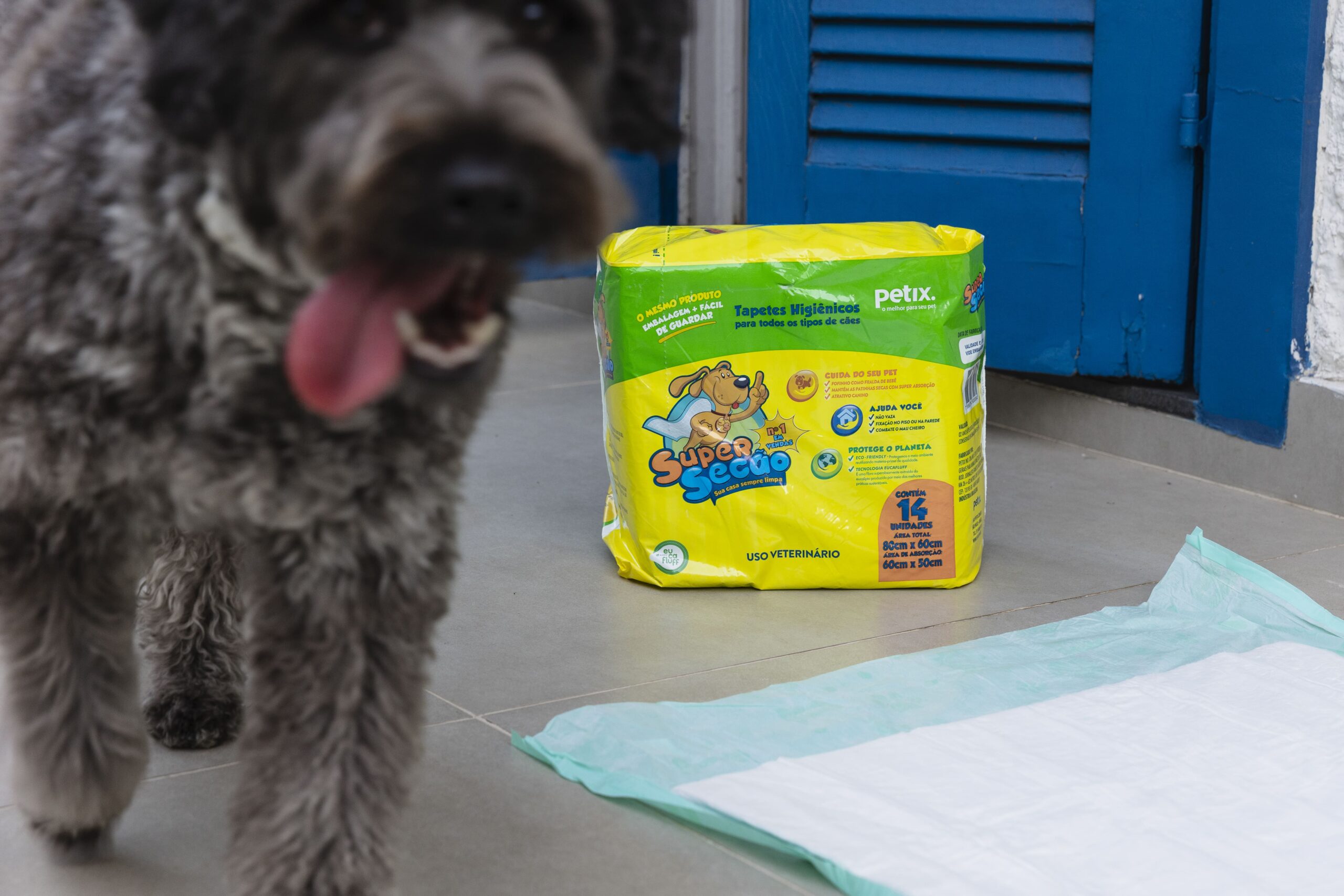 Guia sobre tapete higiênico para cachorro: tudo o que você precisa saber 3 Pacote de tapete higiênico Super Secão no chão e cachorro cinza a frente.
