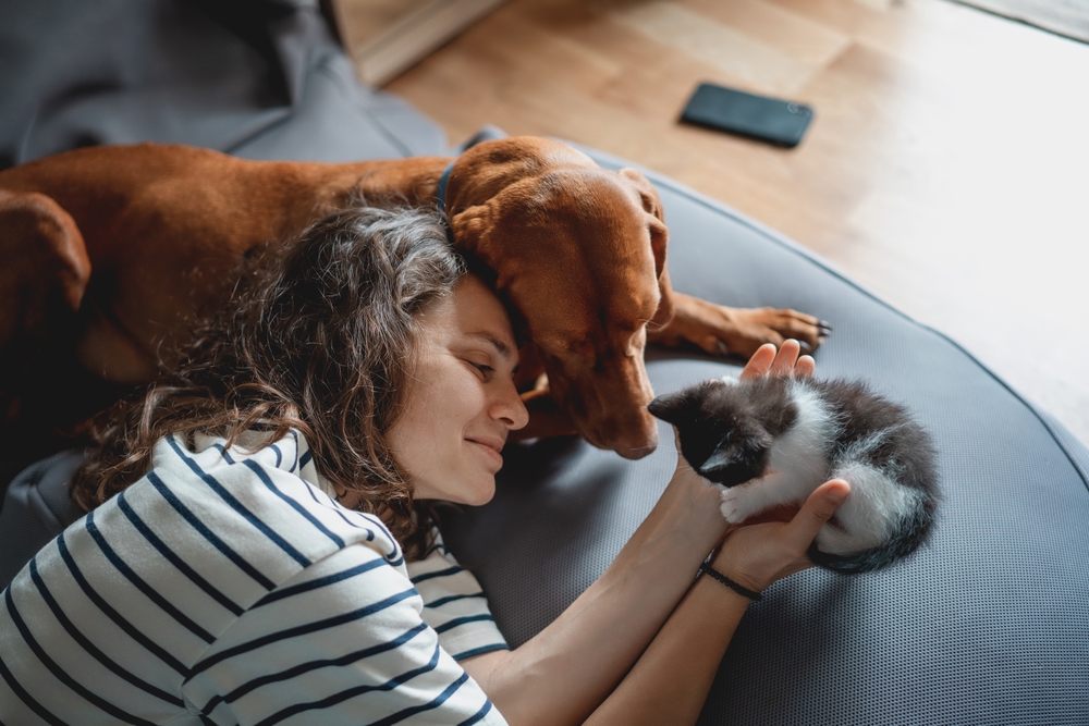 Imagem de responsável com cachorro e gato