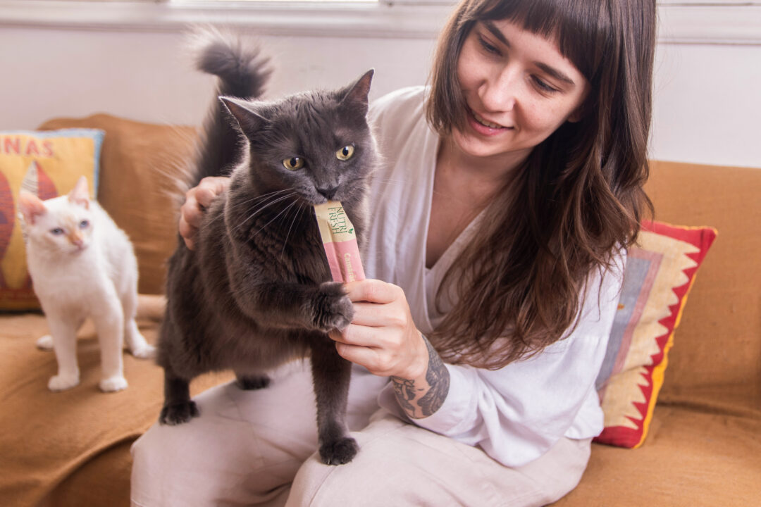 Imagem de gato com responsável