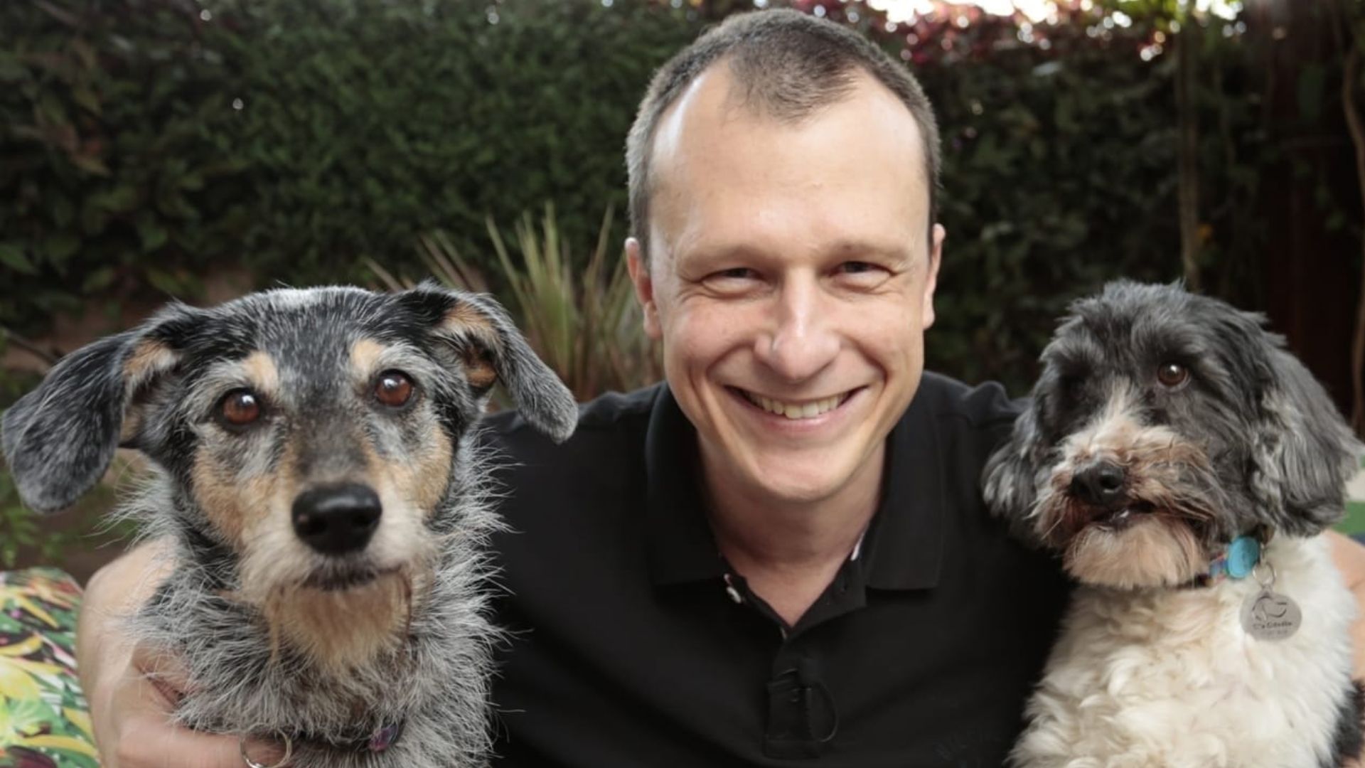 Imagem do Dr Pet com dois cachorros