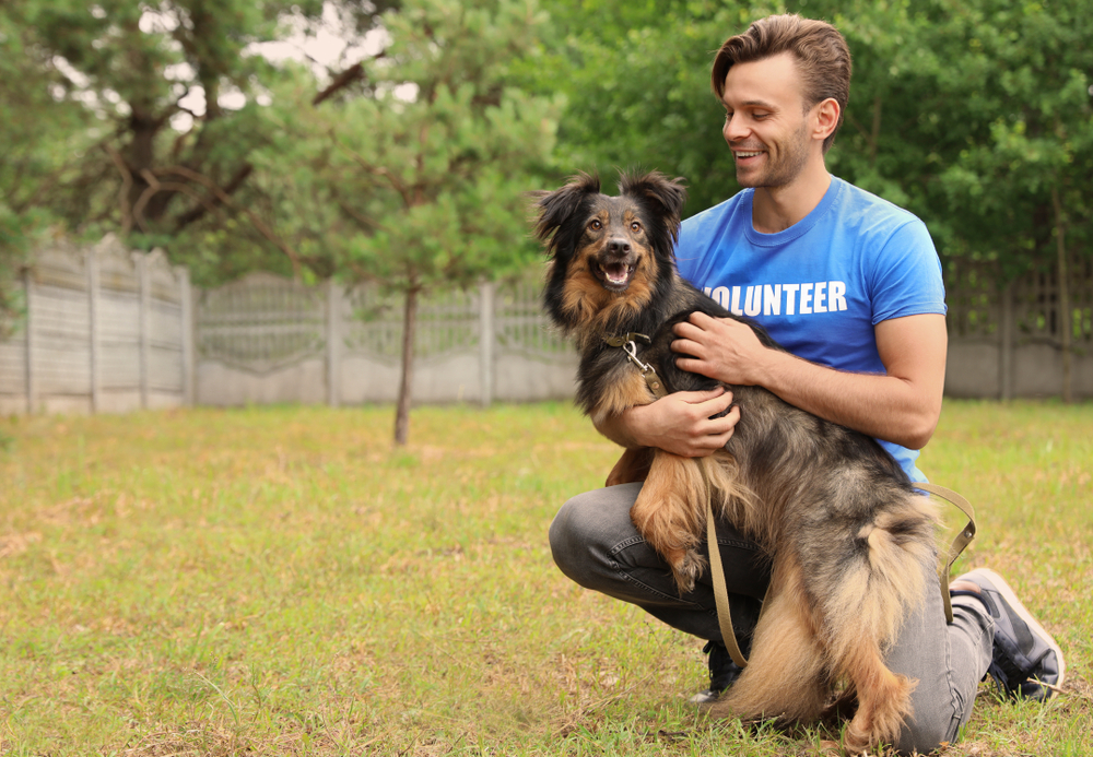 Homem, com camisa de voluntário azul, segurando cachorro.