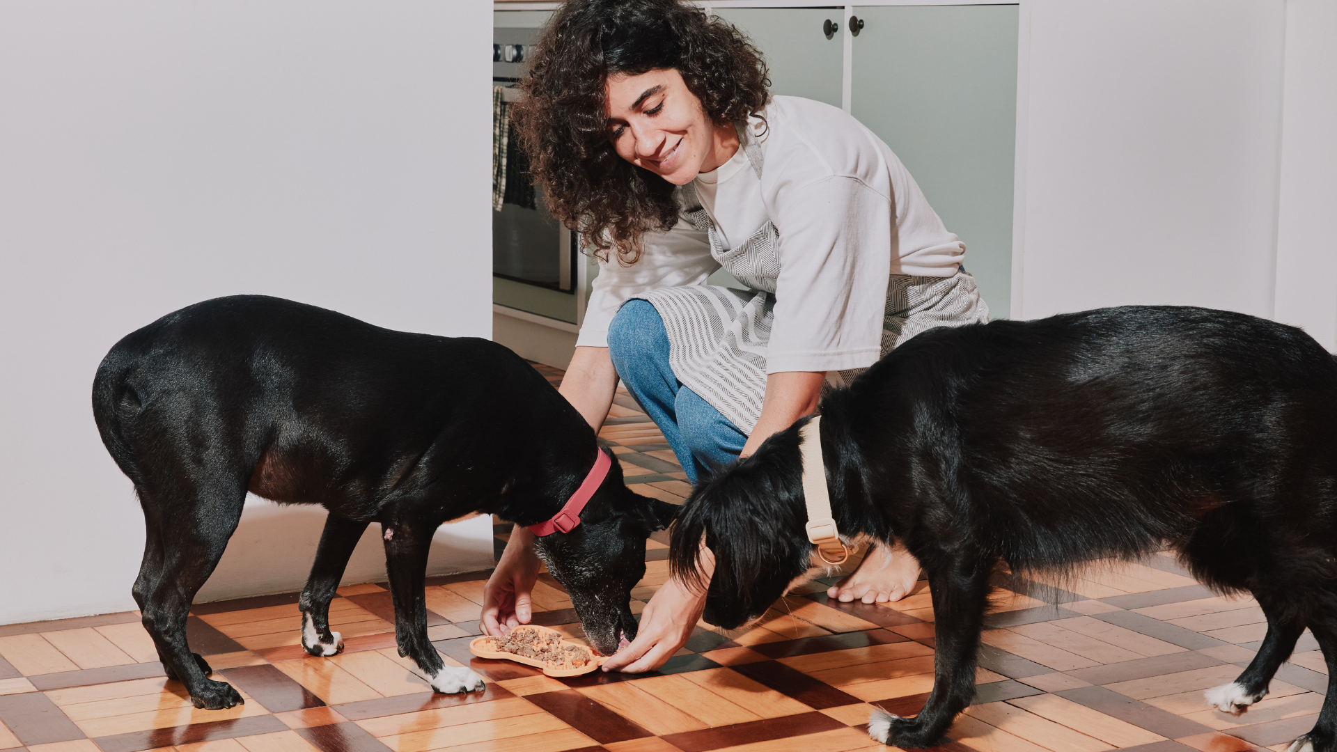 Cinofilia: entenda o universo dos apaixonados por cães 2 Tutora oferecendo comida para dois cachorros pretos.