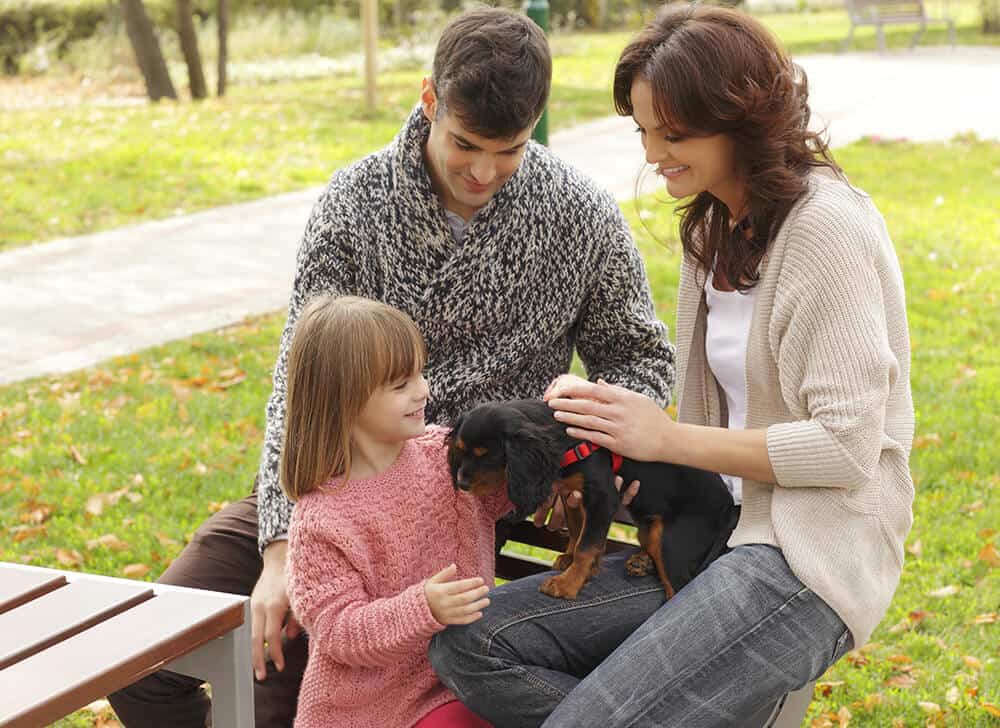 Cinofilia: entenda o universo dos apaixonados por cães 3 Mãe, pai e filha dando carinho em cachorro filhote no parque.