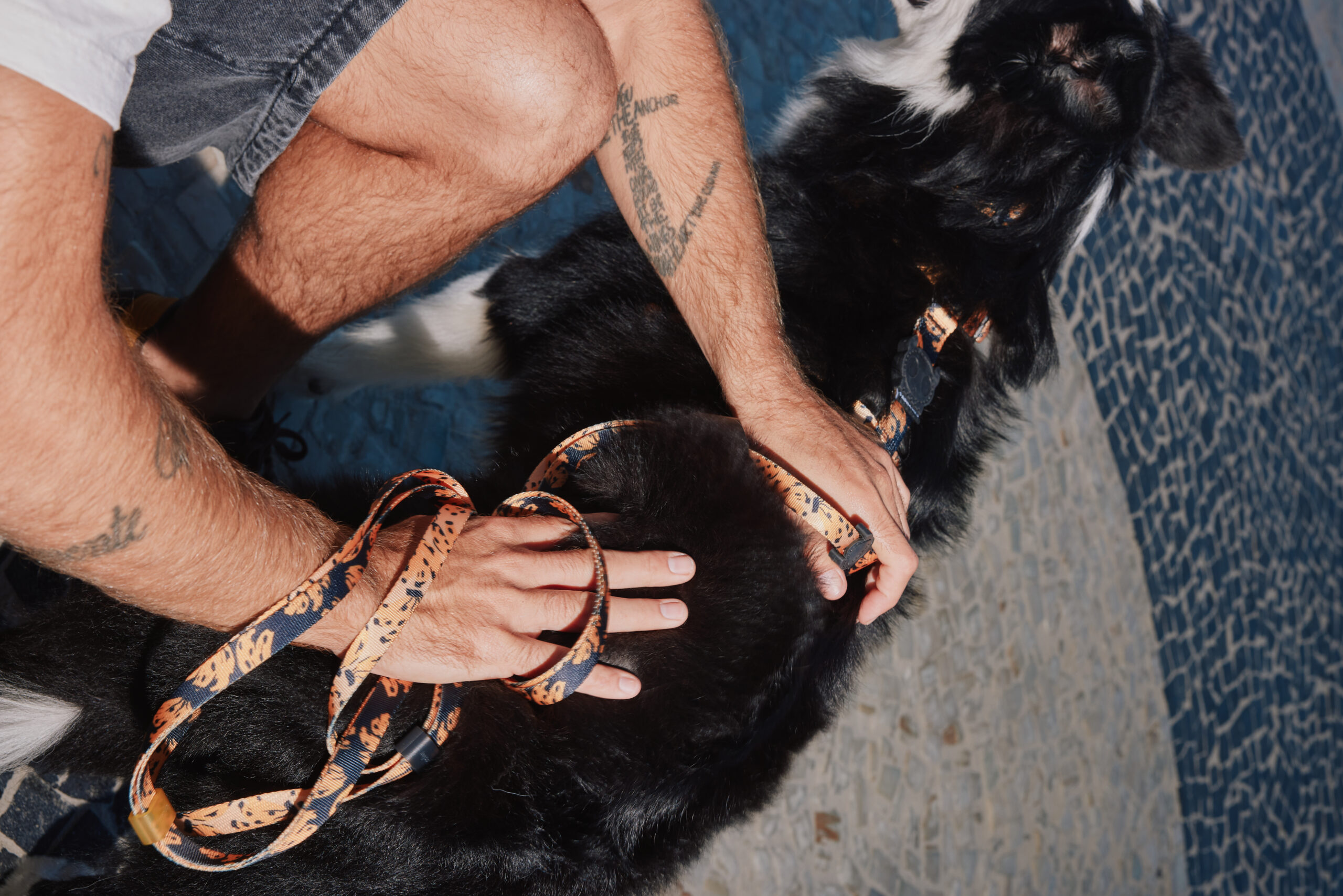 Imagem de responsável com pet