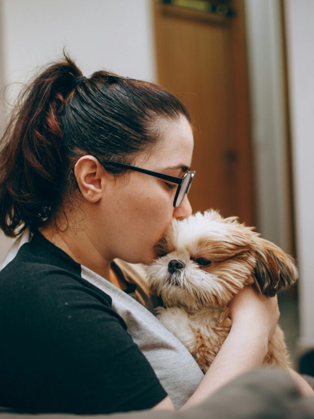 Descubra as vantagens que só os responsáveis de pets têm