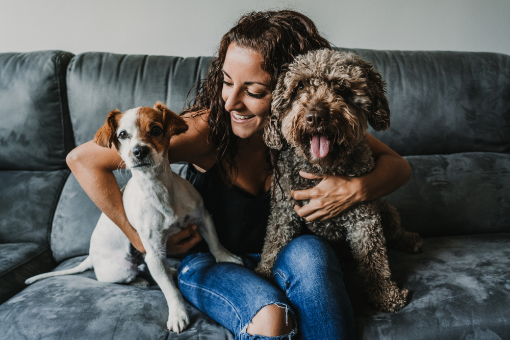 Imagem de responsável com cachorros