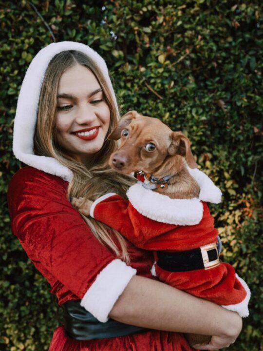 Imagem de responsável e cachorro