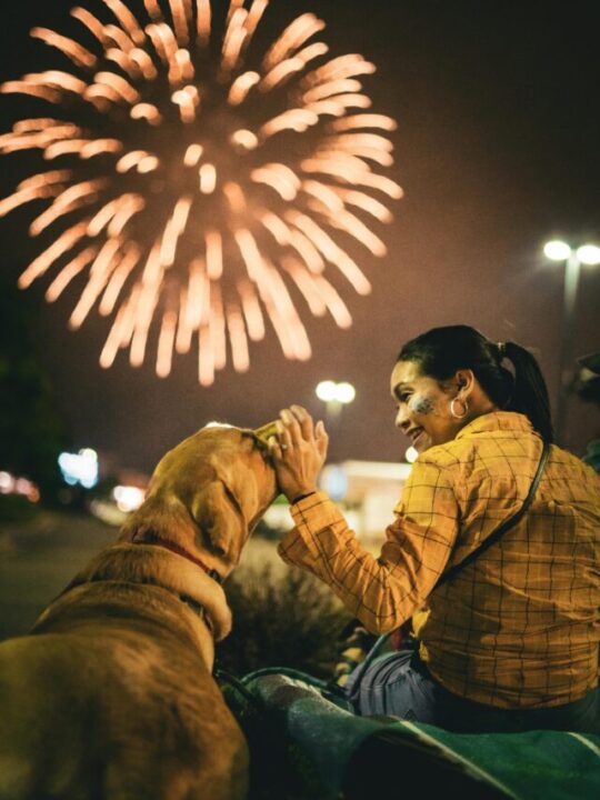 Imagem de cachorro com responsável