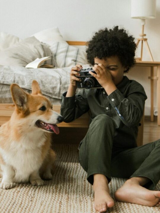 Imagem de responsável e pet