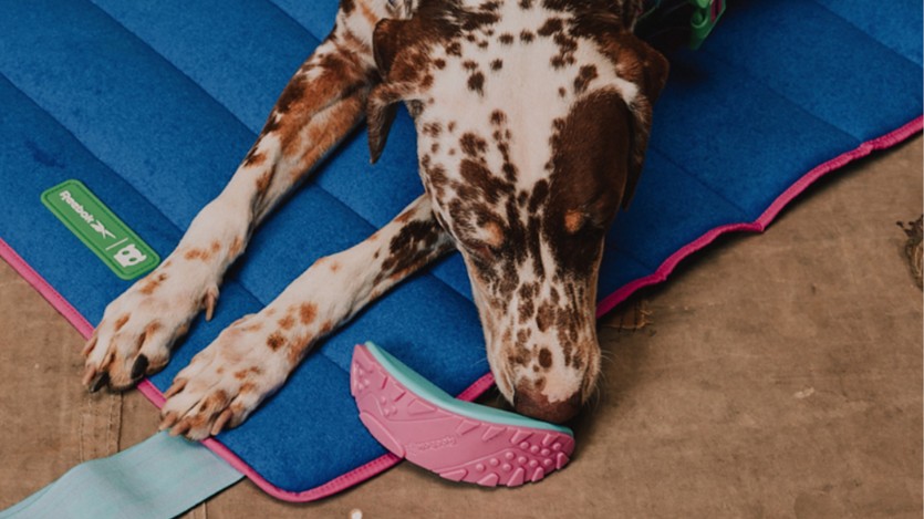 tipos de brinquedo 2