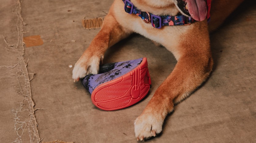 tipos de brinquedos 4