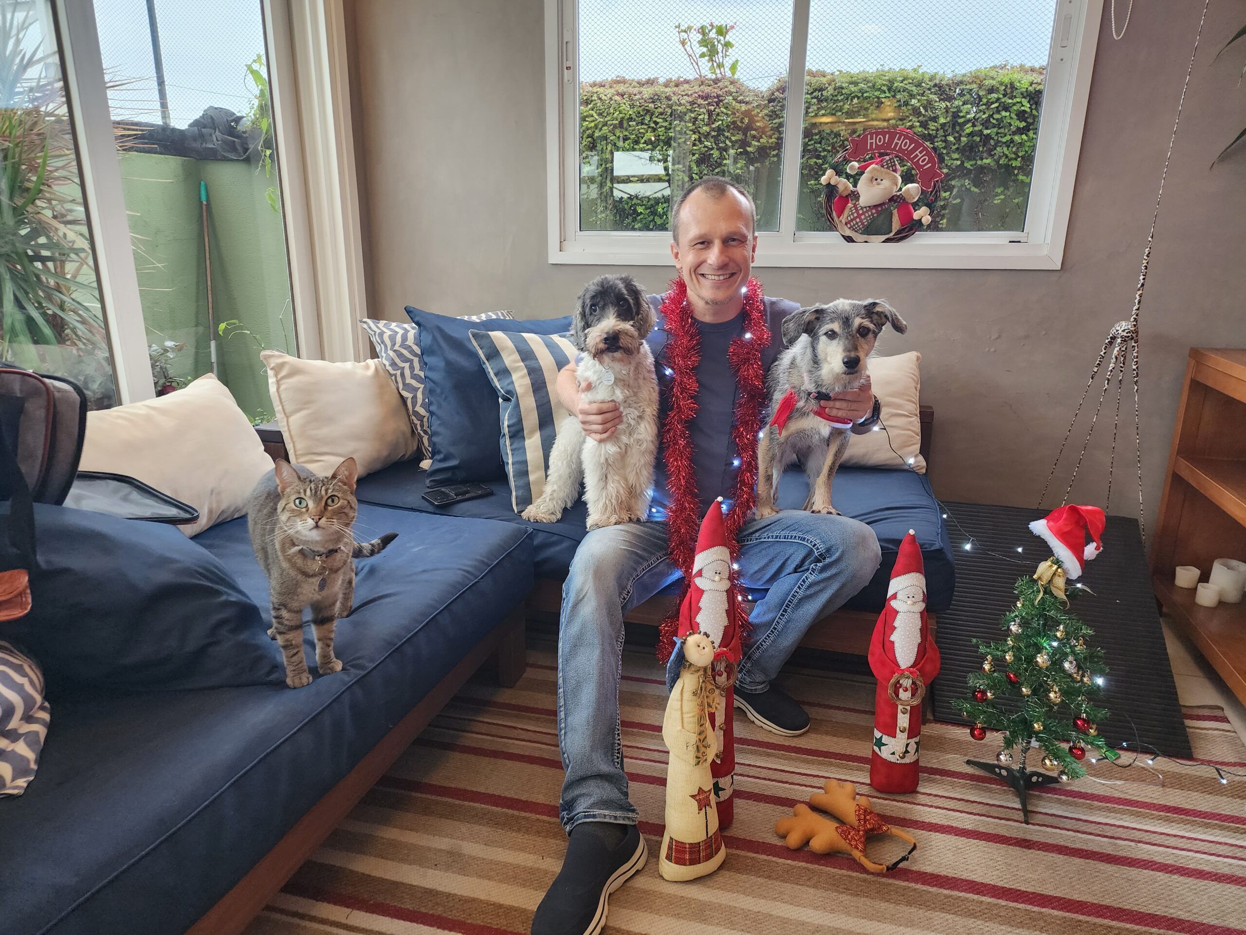 Como preparar o pet para receber visitas em casa? 1 visita2 scaled