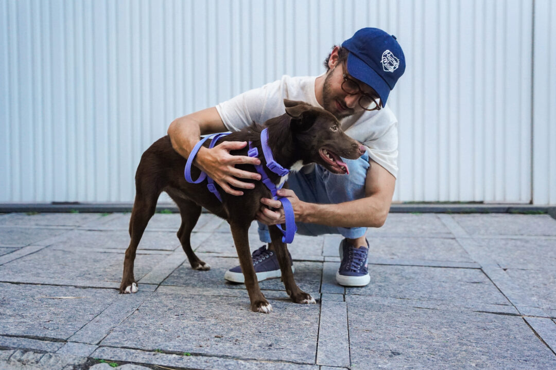Imagem de responsável com cachorro