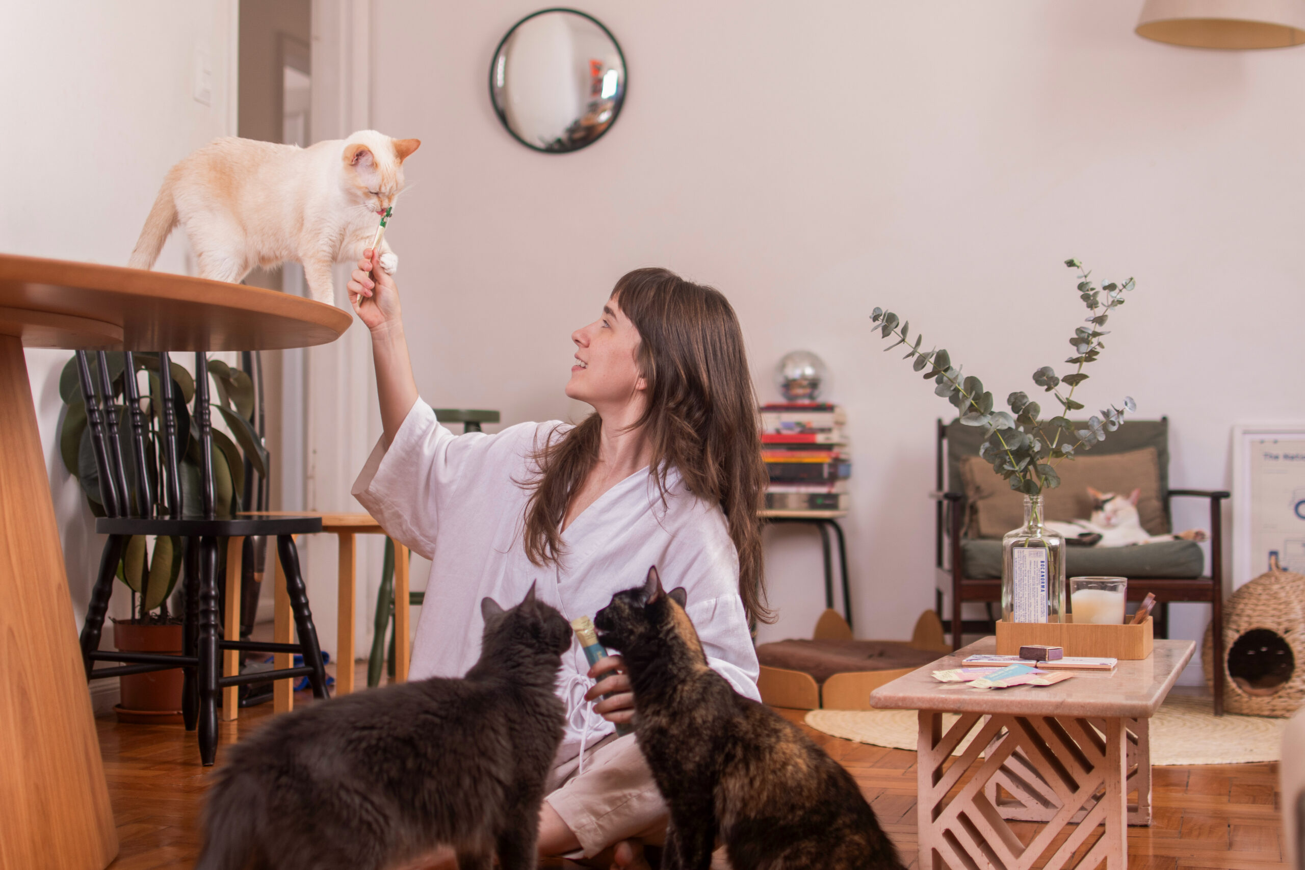 Imagem de responsável com pets