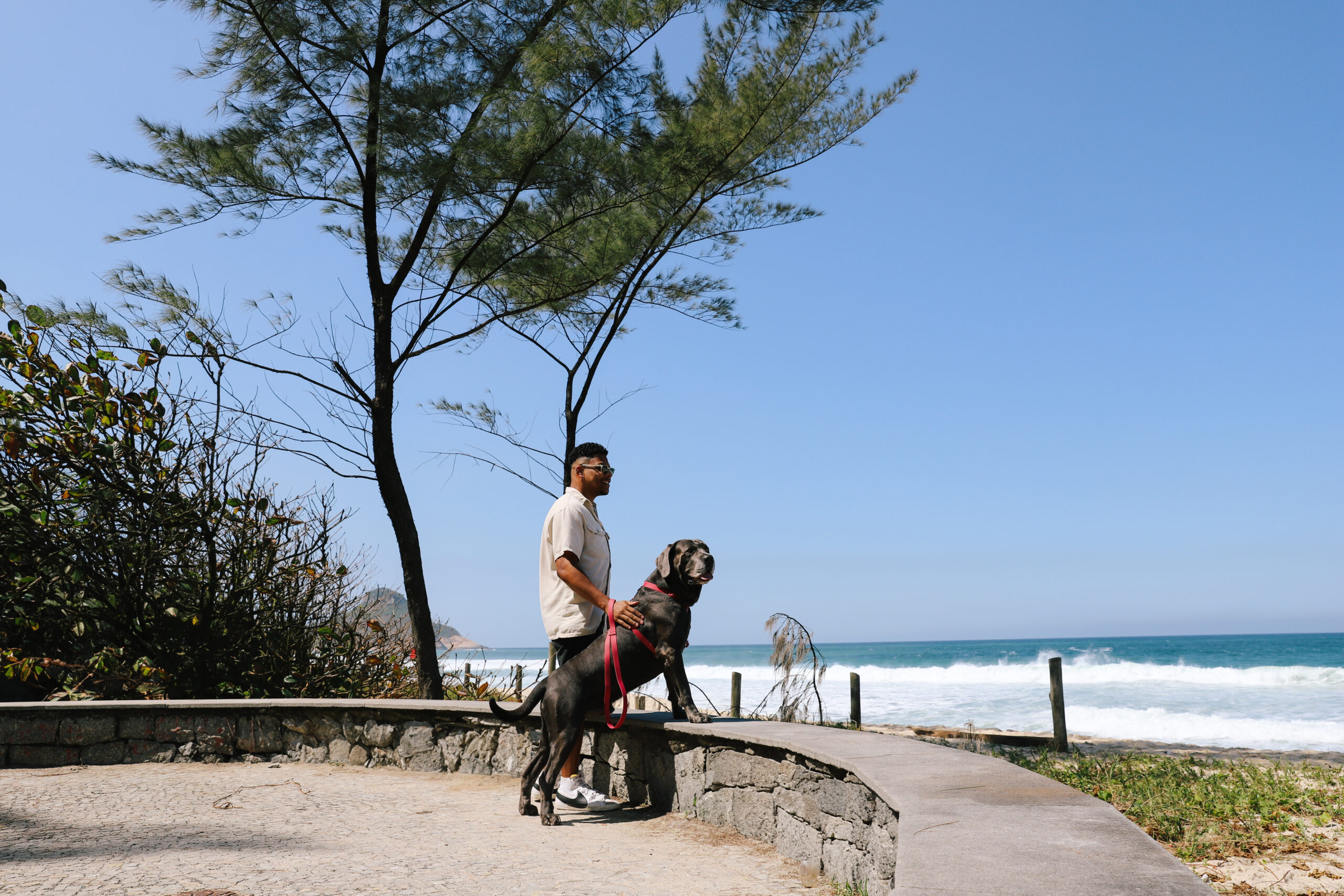 Imagem de responsável com cachorro