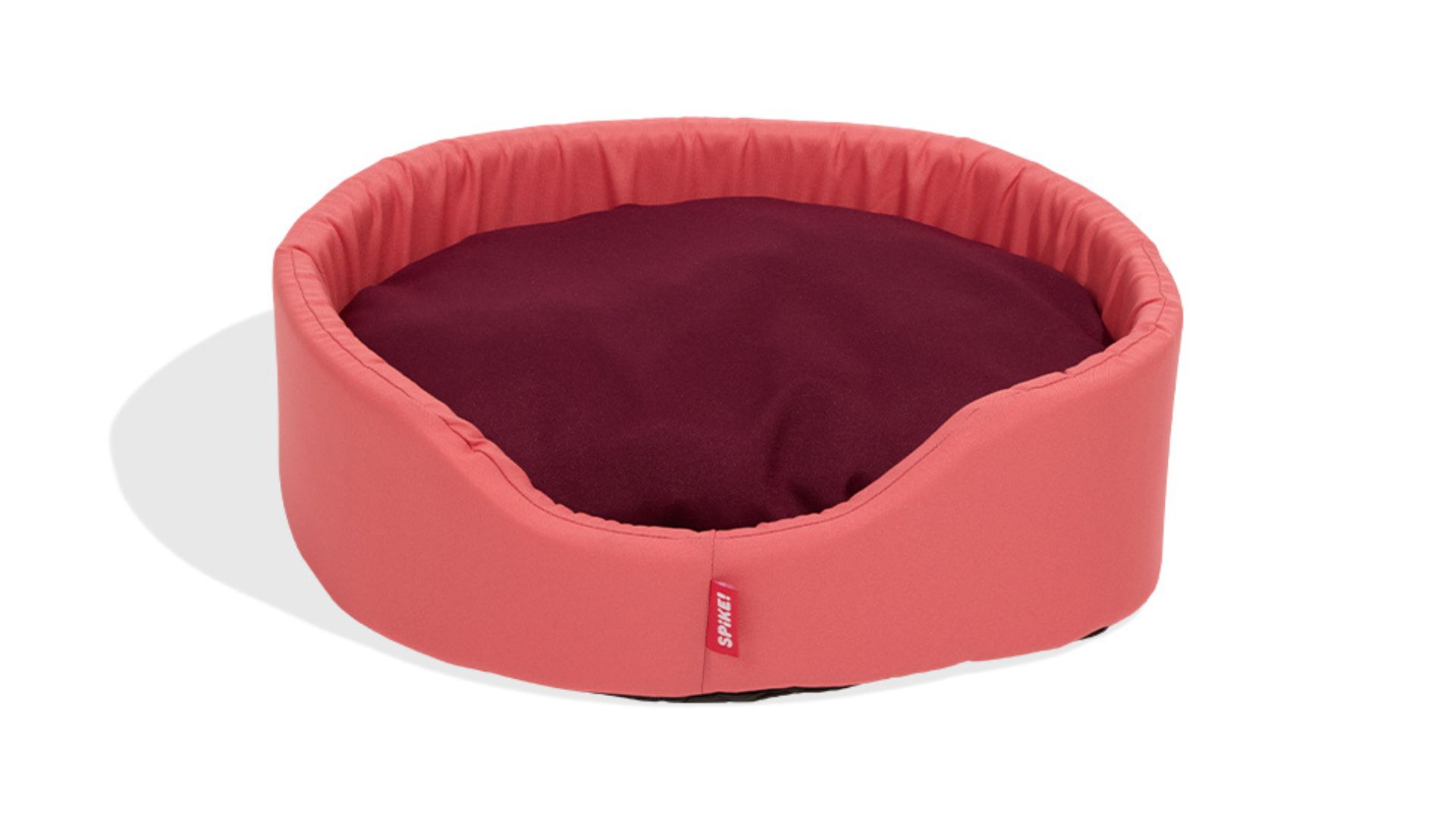 Imagem de cama de cachorro