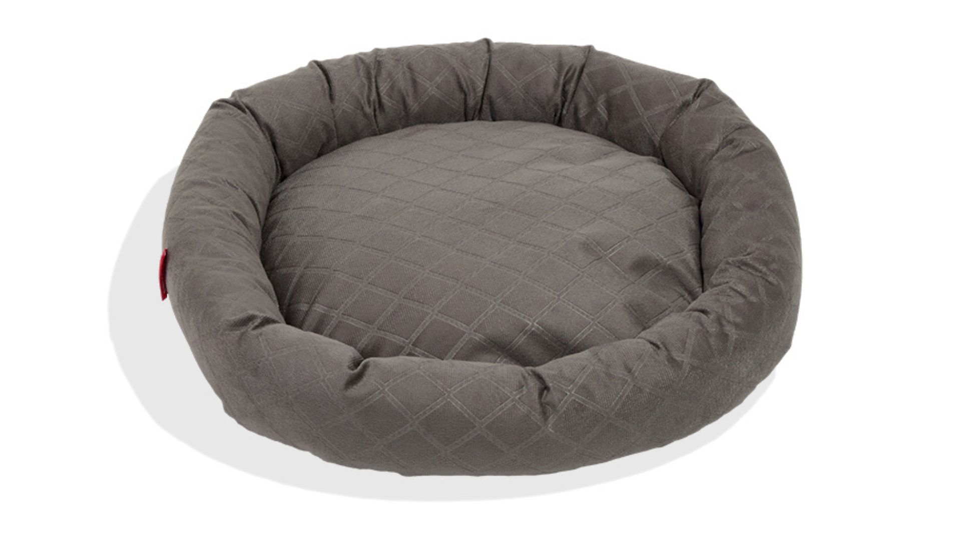 Imagem de cama de cachorro