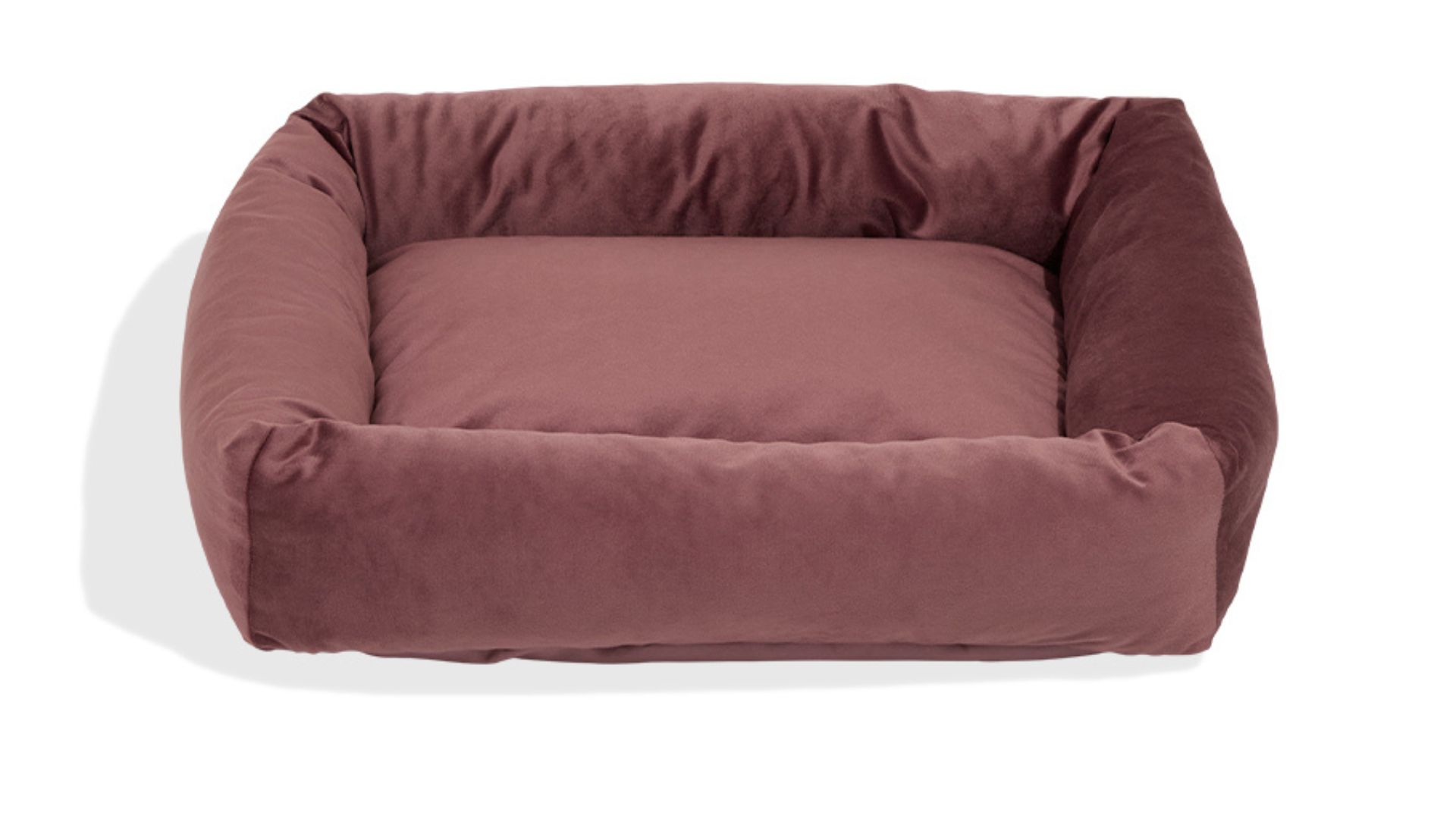 Imagem de cama de cachorro