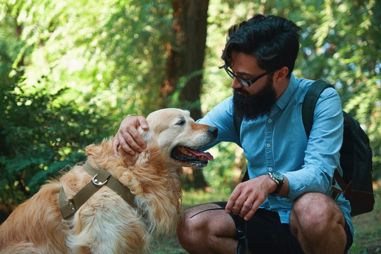 Cachorro Golden e tutor.